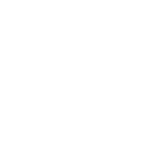 logo All in Service Mac