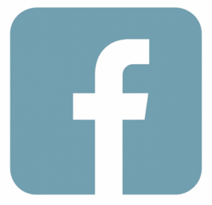 icon facebook