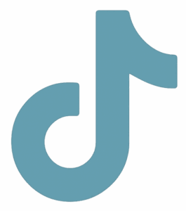 icon tiktok